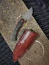 octo_7.webp
